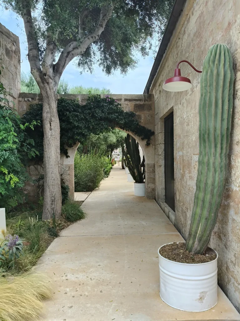 Les jardins de l’Isla del Rey
